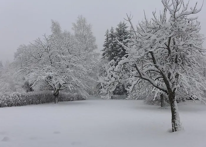 Maison Novel * Шамони